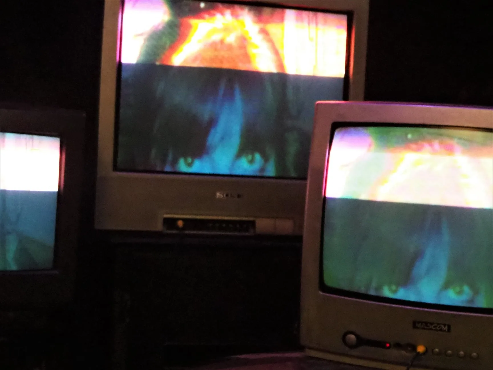 Eliška Fajmonová on TVs at PMF 2021